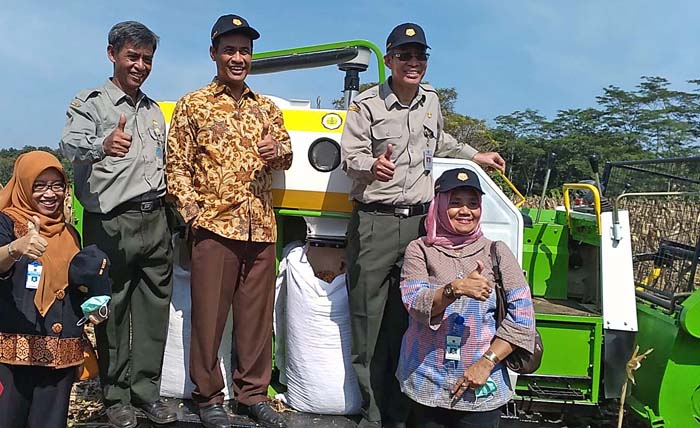 Inovasi Balitbangtan Diharapkan Dukung Target Produksi Jagung 21,35 Juta Ton